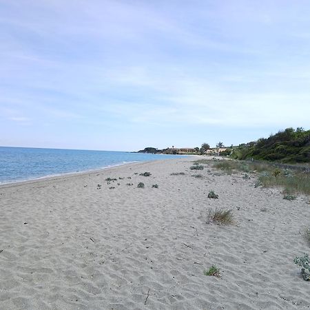 Terres De France - Les Hauts Du Maquis Linguizzetta Exterior foto